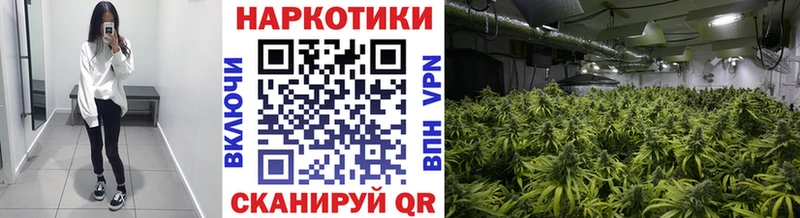 Купить наркотики Красногорск ГАШИШ  АМФЕТАМИН  Мефедрон  Галлюциногенные грибы  Марихуана 