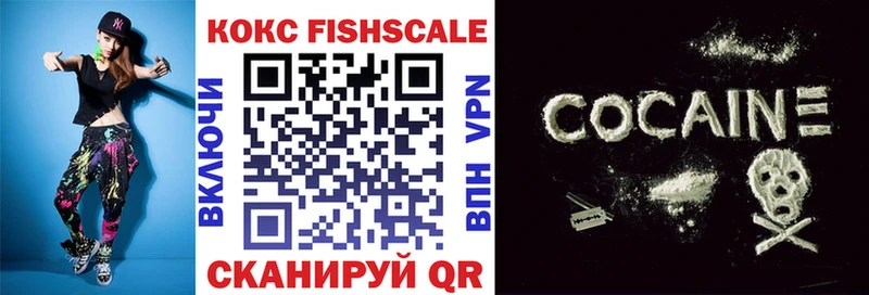 Cocaine Fish Scale  даркнет сайт  Красногорск 