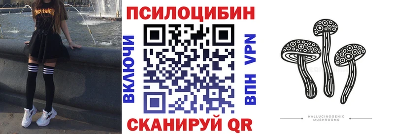 купить закладку  Красногорск  MEGA онион  Псилоцибиновые грибы прущие грибы 