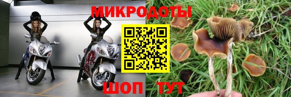 где купить наркотик  Галлюциногенные грибы мицелий  Галлюциногенные грибы мицелий  Вход с VPN  Красногорск 