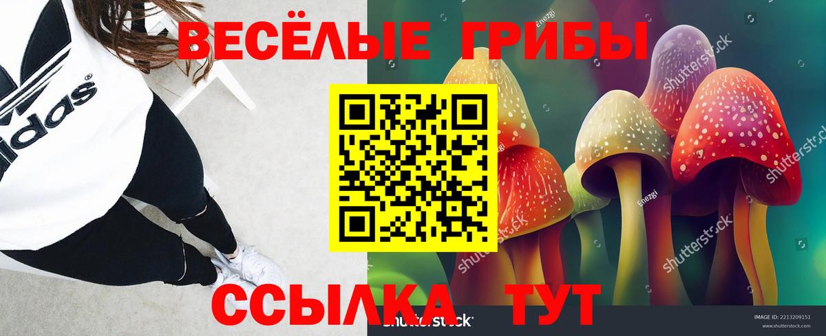 Псилоцибиновые грибы Magic Shrooms Красногорск